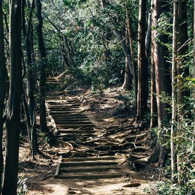 3v3团队对战游戏下载